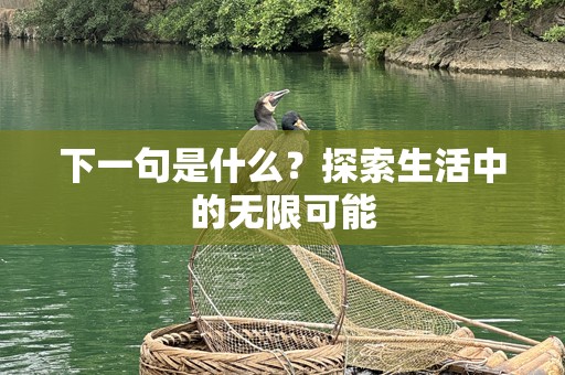 下一句是什么？探索生活中的无限可能