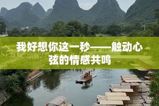 我好想你这一秒——触动心弦的情感共鸣
