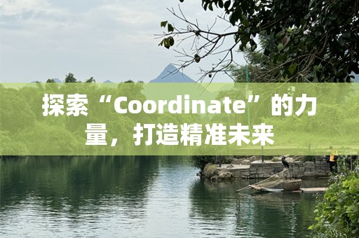 探索“Coordinate”的力量，打造精准未来