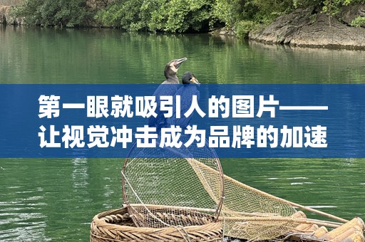 第一眼就吸引人的图片——让视觉冲击成为品牌的加速器