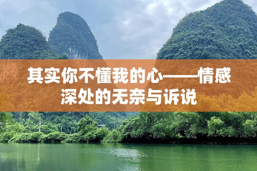 其实你不懂我的心——情感深处的无奈与诉说