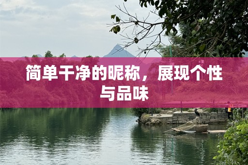 简单干净的昵称，展现个性与品味