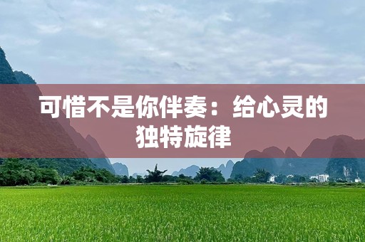 可惜不是你伴奏：给心灵的独特旋律
