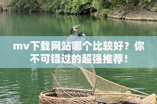 mv下载网站哪个比较好？你不可错过的超强推荐！
