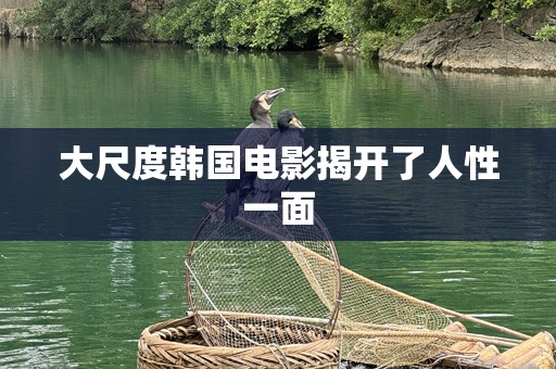 大尺度韩国电影揭开了人性一面