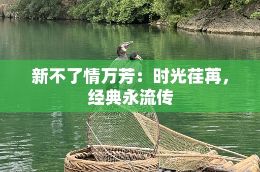 新不了情万芳：时光荏苒，经典永流传