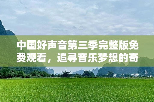 中国好声音第三季完整版免费观看，追寻音乐梦想的奇迹之旅