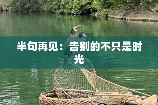 半句再见：告别的不只是时光