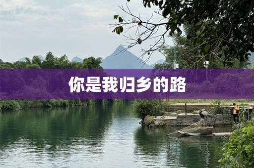 你是我归乡的路