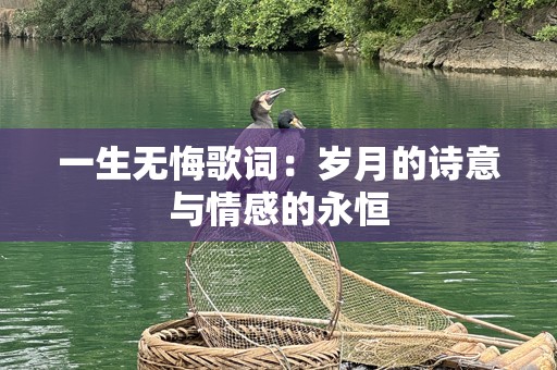 一生无悔歌词：岁月的诗意与情感的永恒
