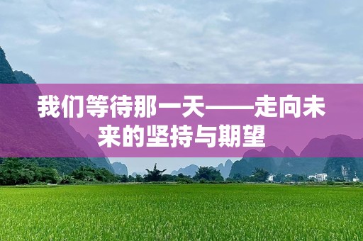 我们等待那一天——走向未来的坚持与期望
