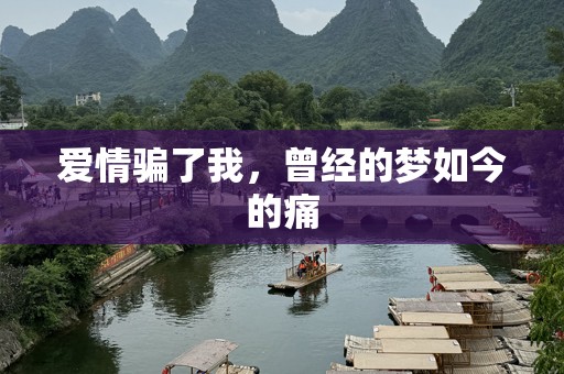 爱情骗了我，曾经的梦如今的痛