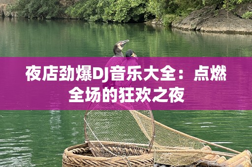 夜店劲爆DJ音乐大全：点燃全场的狂欢之夜