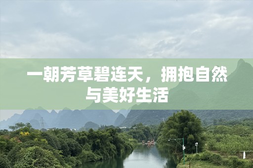 一朝芳草碧连天，拥抱自然与美好生活