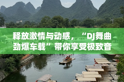 释放***与动感，“DJ舞曲劲爆车载”带你享受极致音乐之旅