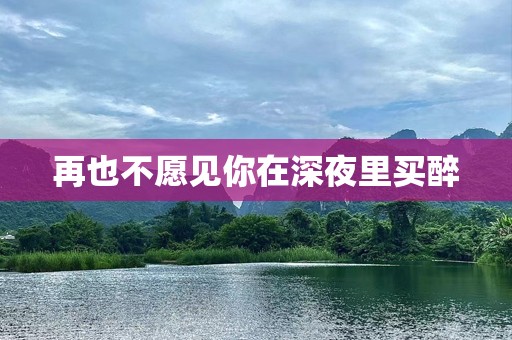 再也不愿见你在深夜里买醉
