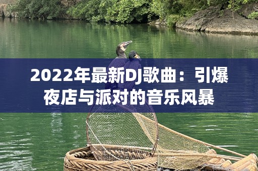 2022年最新DJ歌曲：引爆夜店与派对的音乐风暴