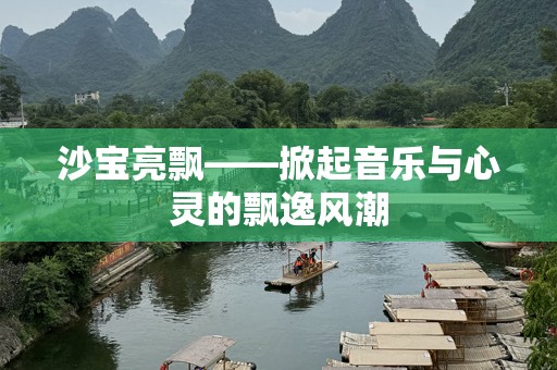 沙宝亮飘——掀起音乐与心灵的飘逸风潮
