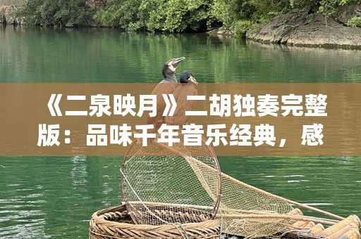 《二泉映月》二胡独奏完整版：品味千年音乐经典，感受心灵震撼