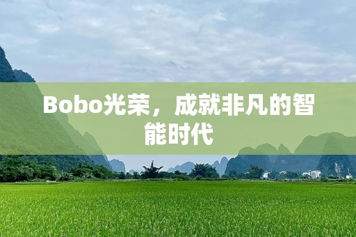 Bobo光荣，成就非凡的智能时代
