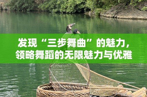 发现“三步舞曲”的魅力，领略舞蹈的无限魅力与优雅
