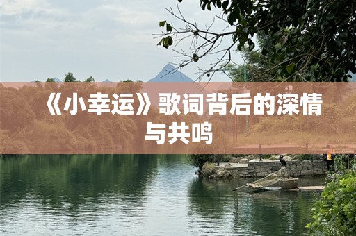 《小幸运》歌词背后的深情与共鸣