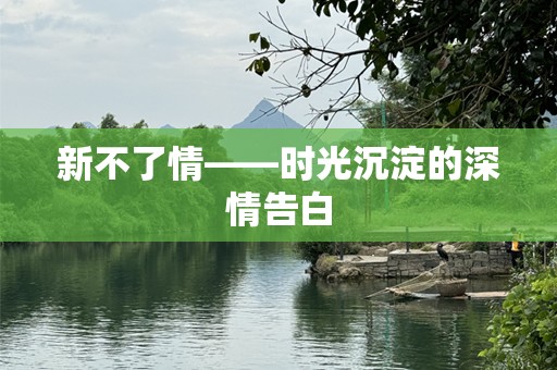 新不了情——时光沉淀的深情告白