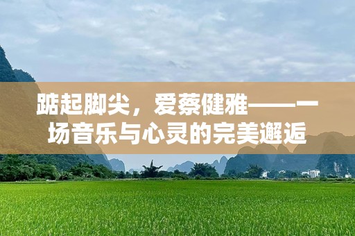 踮起脚尖，爱蔡健雅——一场音乐与心灵的完美邂逅