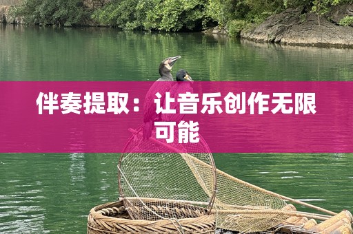 伴奏提取：让音乐创作无限可能