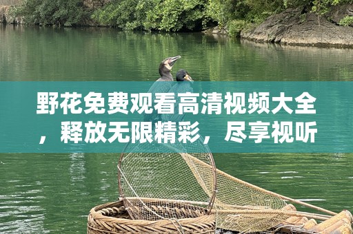 野花免费观看高清视频大全，释放无限精彩，尽享视听盛宴