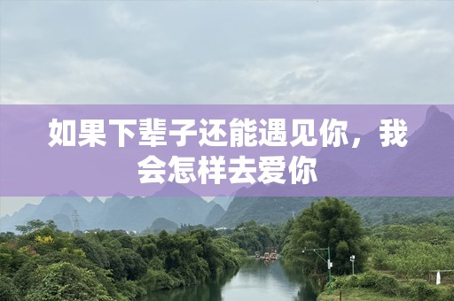 如果下辈子还能遇见你，我会怎样去爱你