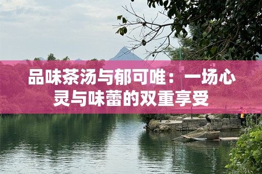 品味茶汤与郁可唯：一场心灵与味蕾的双重享受