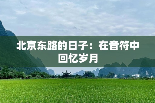 北京东路的日子：在音符中回忆岁月