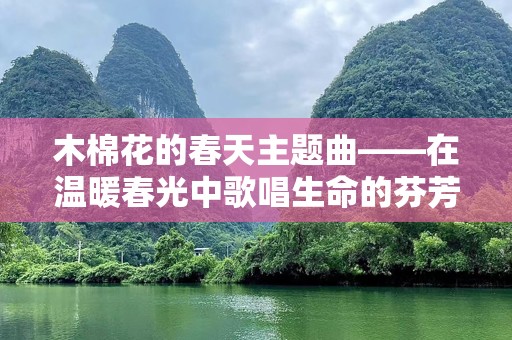 木棉花的春天主题曲——在温暖春光中歌唱生命的芬芳