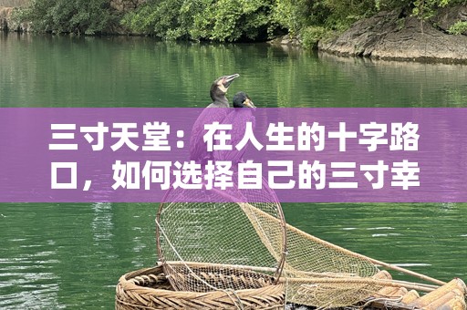 三寸天堂：在人生的十字路口，如何选择自己的三寸幸福
