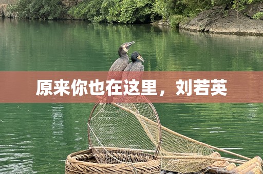 原来你也在这里，刘若英