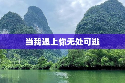 当我遇上你无处可逃