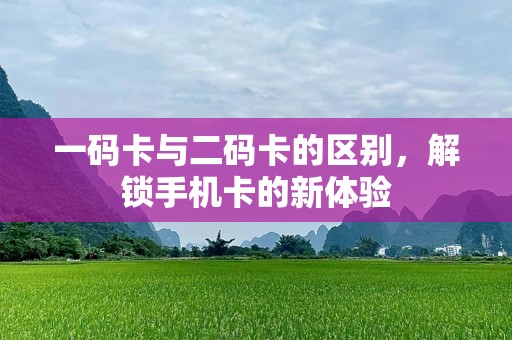 一码卡与二码卡的区别，解锁手机卡的新体验