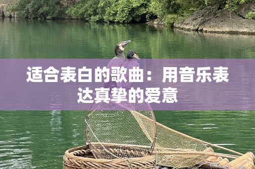 适合表白的歌曲：用音乐表达真挚的爱意