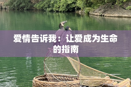 爱情告诉我：让爱成为生命的指南