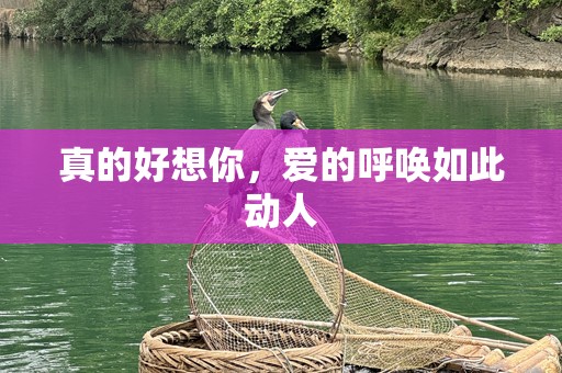 真的好想你，爱的呼唤如此动人