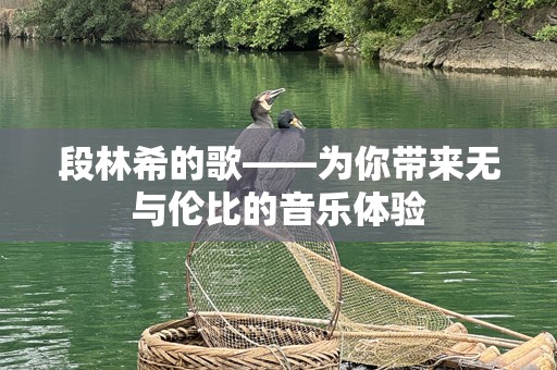 段林希的歌——为你带来无与伦比的音乐体验
