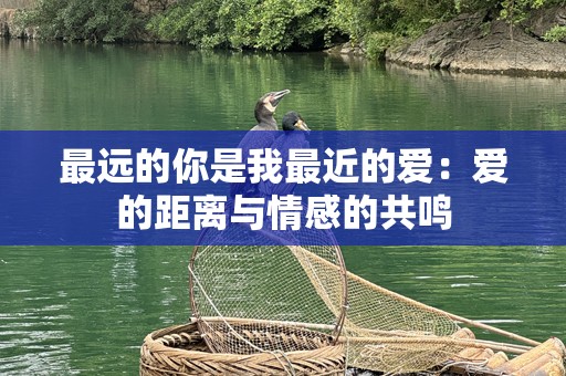 最远的你是我最近的爱：爱的距离与情感的共鸣