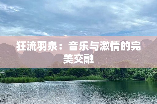 狂流羽泉：音乐与激情的完美交融