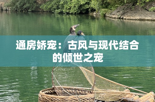 通房娇宠：古风与现代结合的倾世之宠