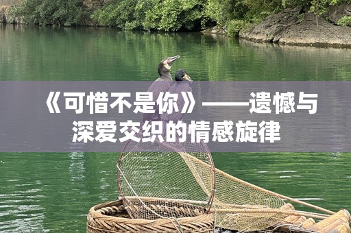 《可惜不是你》——遗憾与深爱交织的情感旋律
