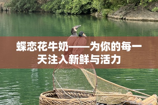 蝶恋花牛奶——为你的每一天注入新鲜与活力