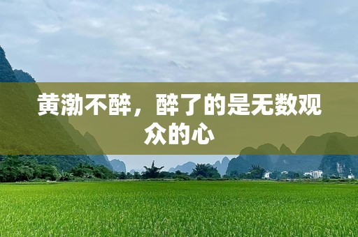 黄渤不醉，醉了的是无数观众的心