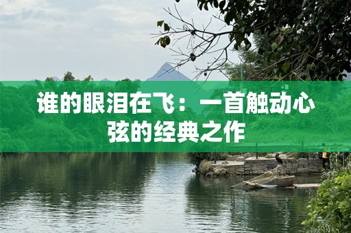 谁的眼泪在飞：一首触动心弦的经典之作