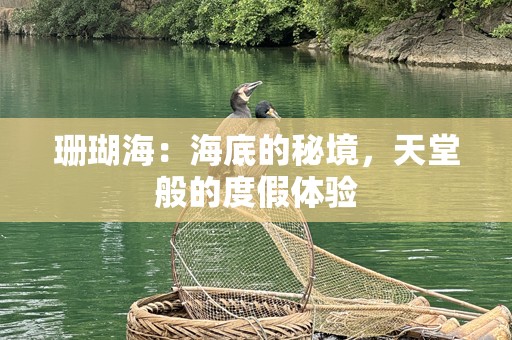 珊瑚海：海底的秘境，天堂般的度假体验